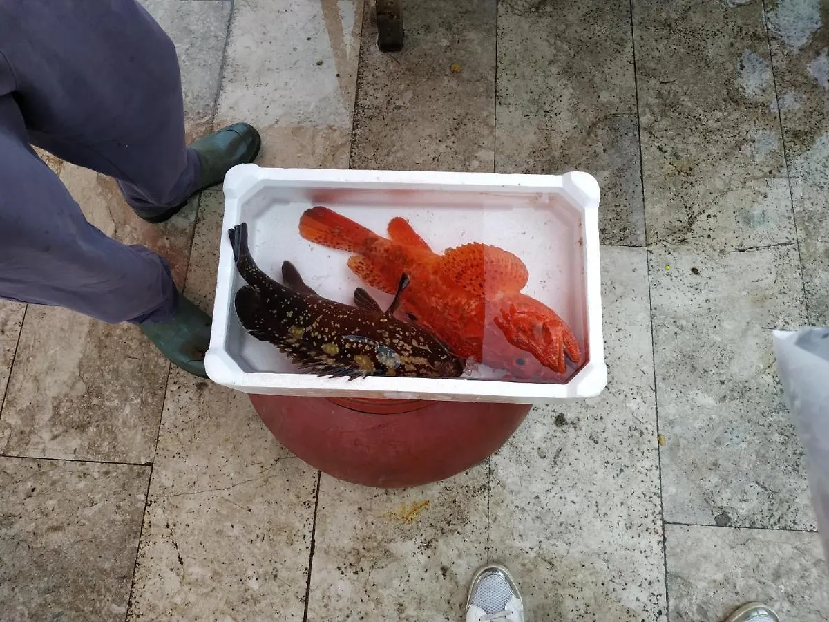 Appartamento Aspra al delfino bianco Bagheria